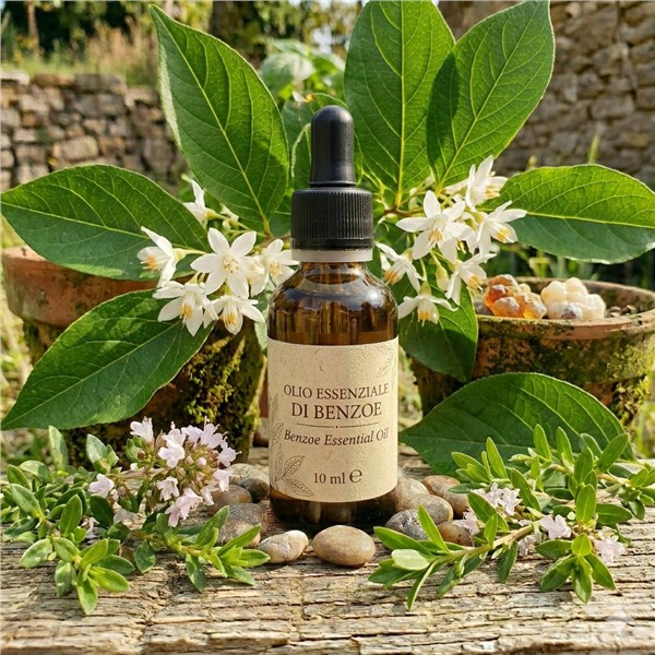Olio Essenziale di Benzoe (Storace Benzoino)