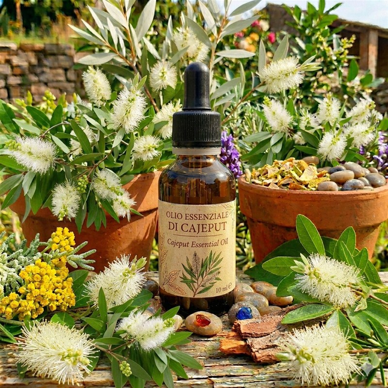 Olio Essenziale di Cajeput
