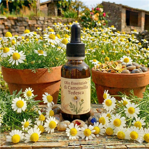 Olio Essenziale di Camomilla Tedesca