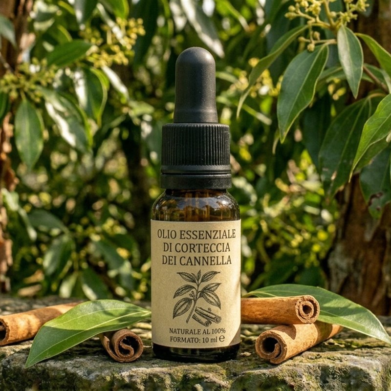 Olio Essenziale di Corteccia di Cannella