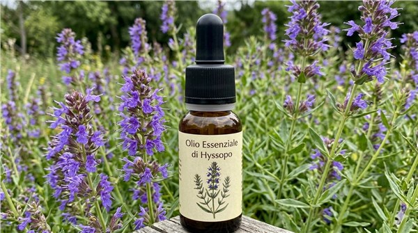 Olio Essenziale di Hyssopo