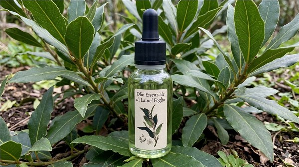 Olio Essenziale di Laurel Foglia