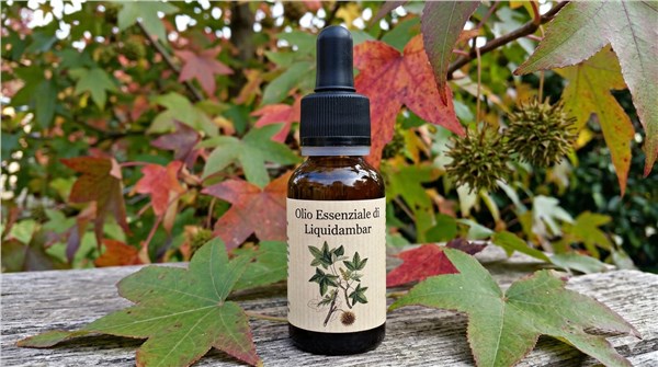 Olio Essenziale di Liquidambar