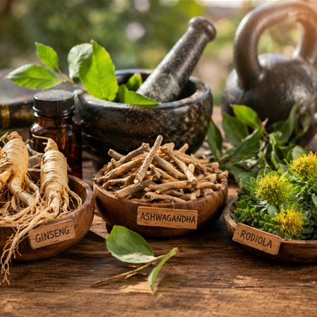 Piante adattogene per il recupero sportivo: ginseng, ashwagandha e rodiola