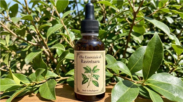 Olio Essenziale di Ravintsara