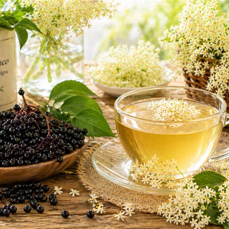Sambuco (Sambucus nigra): proprietà, benefici e usi tradizionali di fiori e bacche